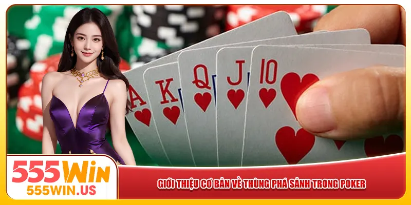 Giới thiệu cơ bản về thùng phá sảnh trong poker
