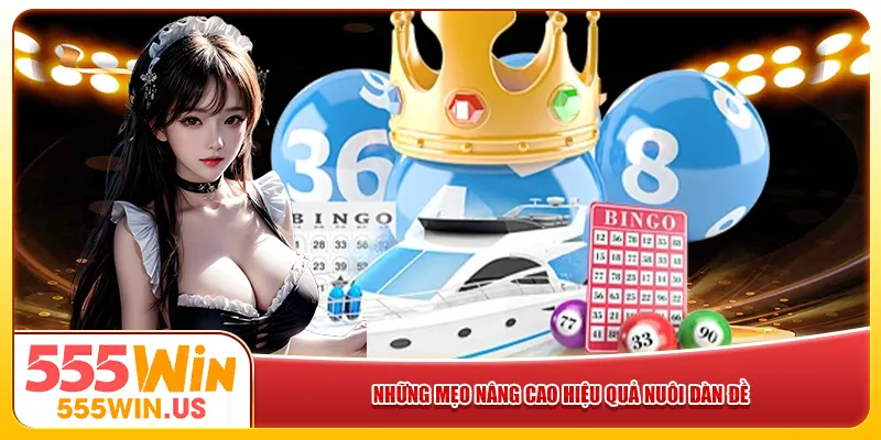 Những mẹo nâng cao hiệu quả nuôi dàn đề 